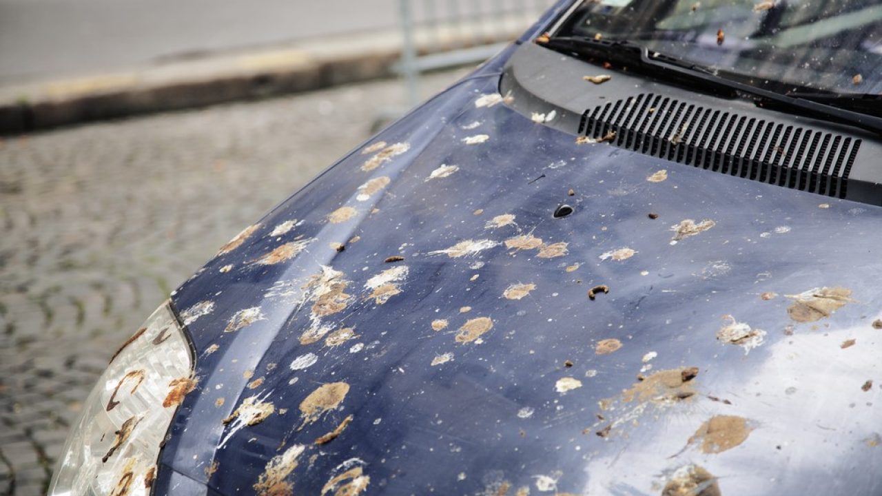 Gain control origin Unconscious 5 moduri în care îți poți distruge vopseaua mașinii | Utile | AUTO BILD Gain control origin Unconscious 5 moduri în care îți poți distruge vopseaua mașinii | Utile | AUTO BILD